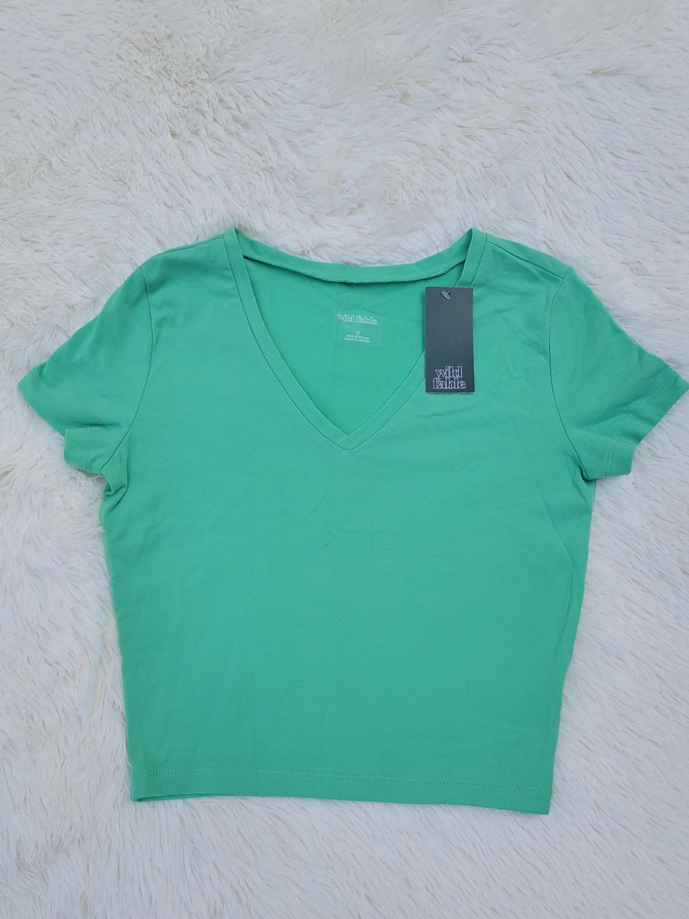 Wild fable Mint Green V-Neck Crop Top